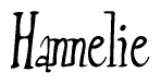 The image is of the word Hannelie stylized in a cursive script.