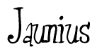 The image is of the word Jaunius stylized in a cursive script.