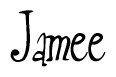 The image is a stylized text or script that reads 'Jamee' in a cursive or calligraphic font.