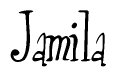 The image contains the word 'Jamila' written in a cursive, stylized font.