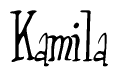 The image contains the word 'Kamila' written in a cursive, stylized font.