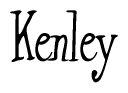 The image contains the word 'Kenley' written in a cursive, stylized font.