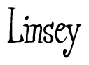 The image is a stylized text or script that reads 'Linsey' in a cursive or calligraphic font.