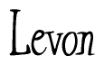 The image contains the word 'Levon' written in a cursive, stylized font.