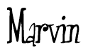 The image is a stylized text or script that reads 'Marvin' in a cursive or calligraphic font.