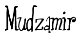 The image is of the word Mudzamir stylized in a cursive script.