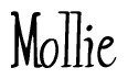 The image is of the word Mollie stylized in a cursive script.