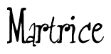The image is of the word Martrice stylized in a cursive script.