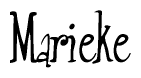 The image contains the word 'Marieke' written in a cursive, stylized font.
