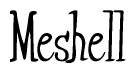 The image is of the word Meshell stylized in a cursive script.