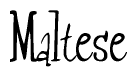 The image is a stylized text or script that reads 'Maltese' in a cursive or calligraphic font.