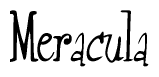 The image is of the word Meracula stylized in a cursive script.