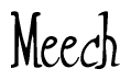 The image is of the word Meech stylized in a cursive script.
