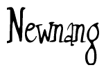 The image is of the word Newnang stylized in a cursive script.