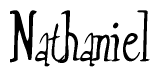 The image contains the word 'Nathaniel' written in a cursive, stylized font.