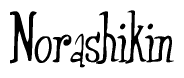 The image is a stylized text or script that reads 'Norashikin' in a cursive or calligraphic font.