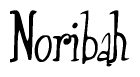 The image contains the word 'Noribah' written in a cursive, stylized font.