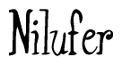 The image is a stylized text or script that reads 'Nilufer' in a cursive or calligraphic font.