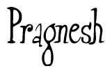 The image is of the word Pragnesh stylized in a cursive script.