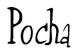 The image contains the word 'Pocha' written in a cursive, stylized font.