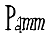 The image contains the word 'Pamm' written in a cursive, stylized font.