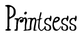 The image is of the word Printsess stylized in a cursive script.