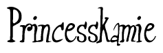 The image contains the word 'Princesskamie' written in a cursive, stylized font.