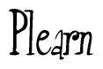 The image is of the word Plearn stylized in a cursive script.