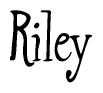 The image is of the word Riley stylized in a cursive script.
