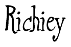 The image contains the word 'Richiey' written in a cursive, stylized font.