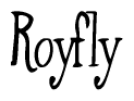 The image is of the word Royfly stylized in a cursive script.