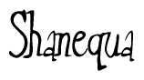 The image is of the word Shanequa stylized in a cursive script.