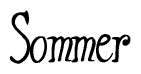 The image contains the word 'Sommer' written in a cursive, stylized font.