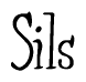 The image contains the word 'Sils' written in a cursive, stylized font.