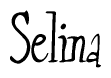 The image is a stylized text or script that reads 'Selina' in a cursive or calligraphic font.