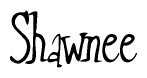 The image is of the word Shawnee stylized in a cursive script.