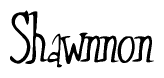 The image contains the word 'Shawnnon' written in a cursive, stylized font.