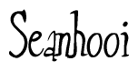 The image contains the word 'Seanhooi' written in a cursive, stylized font.