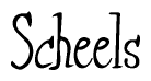 The image is a stylized text or script that reads 'Scheels' in a cursive or calligraphic font.