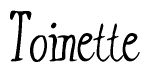 The image contains the word 'Toinette' written in a cursive, stylized font.