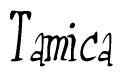 The image is of the word Tamica stylized in a cursive script.