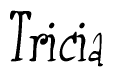 The image is of the word Tricia stylized in a cursive script.