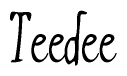 The image is of the word Teedee stylized in a cursive script.