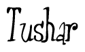 The image contains the word 'Tushar' written in a cursive, stylized font.