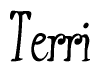 The image is a stylized text or script that reads 'Terri' in a cursive or calligraphic font.