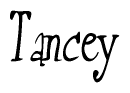 The image is a stylized text or script that reads 'Tancey' in a cursive or calligraphic font.