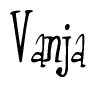 The image contains the word 'Vanja' written in a cursive, stylized font.
