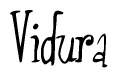 The image is of the word Vidura stylized in a cursive script.