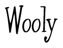 The image contains the word 'Wooly' written in a cursive, stylized font.