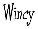 The image is of the word Wincy stylized in a cursive script.